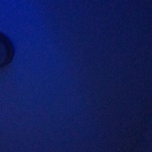 Meet your Posher, Clifford